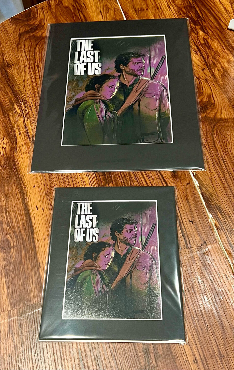 The Last Of Us Art Print